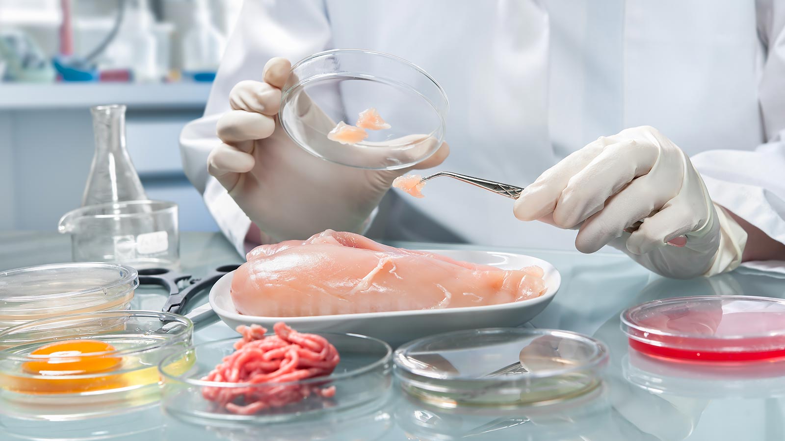 Derecho a la información de consumidores